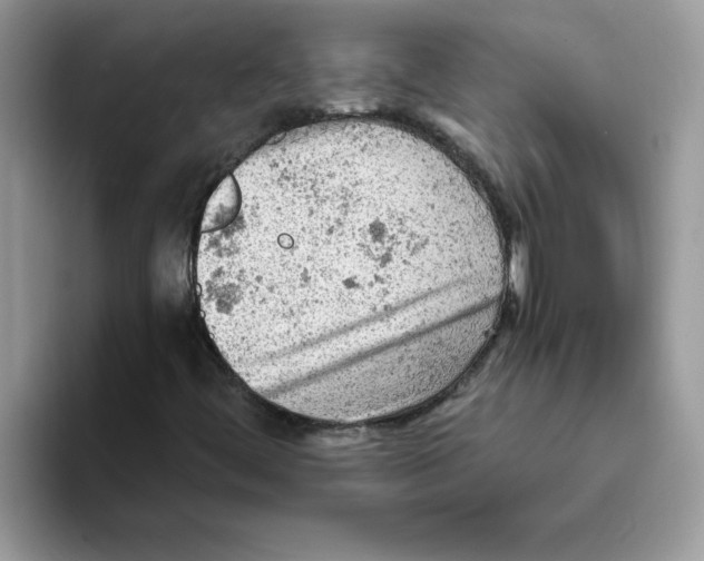 X0000093431444200711091427