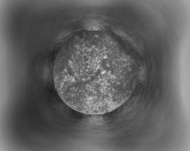 X0000093431446200711091427