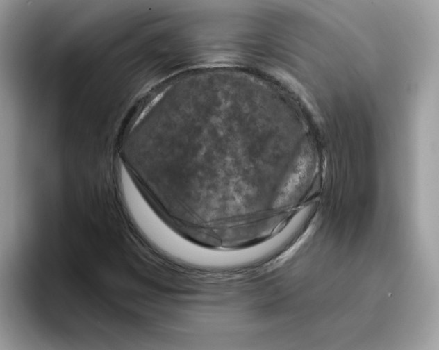 X0000093431449200711091427