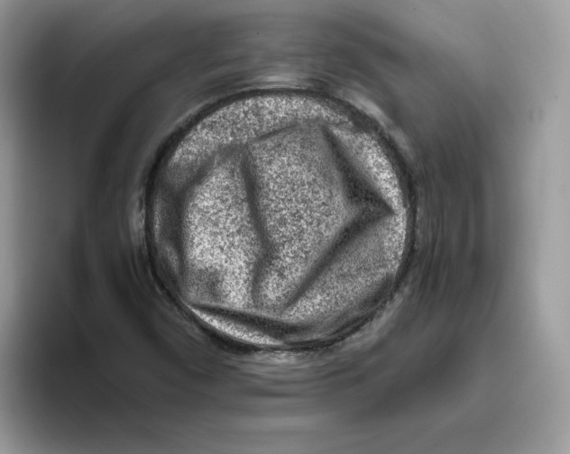 X0000093431450200711091427