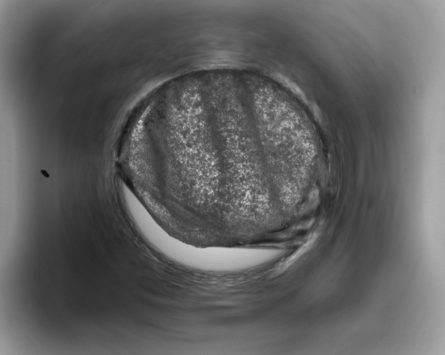 X0000093431453200711091427