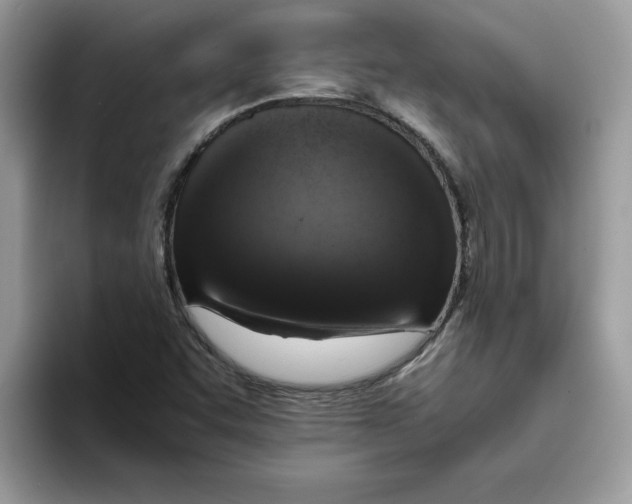 X0000093431455200711091427