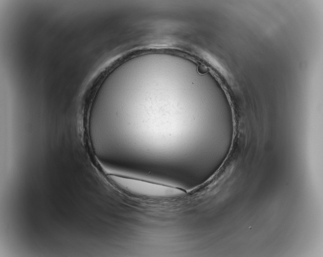 X0000093431456200711091427