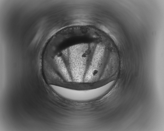 X0000093431459200711091427