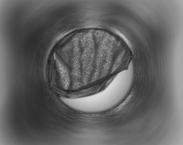 X0000093431461200711091427