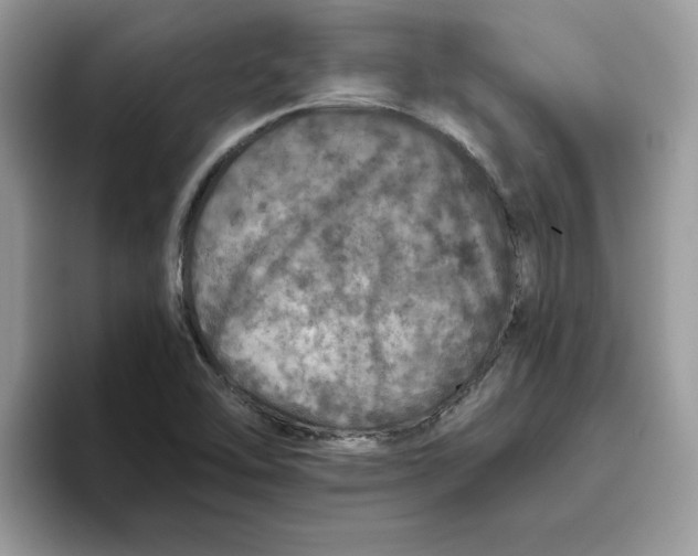 X0000093431462200711091427