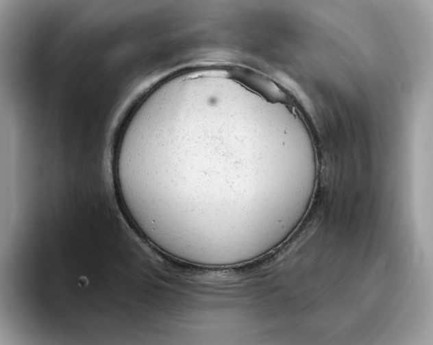 X0000093431464200711091427