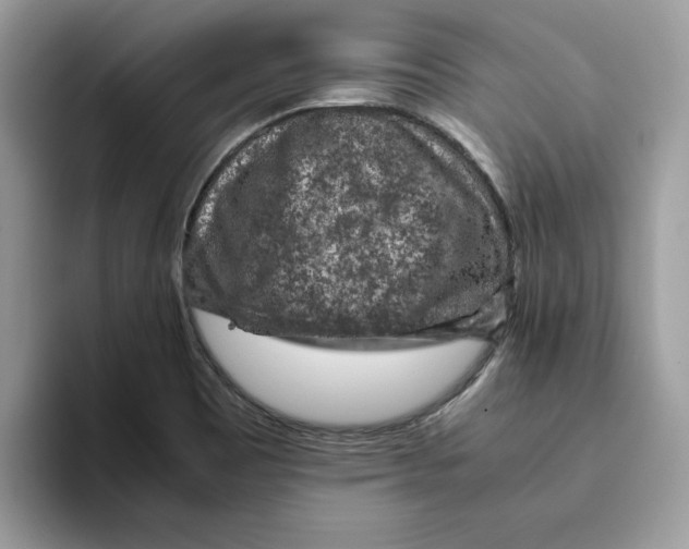 X0000093431465200711091427