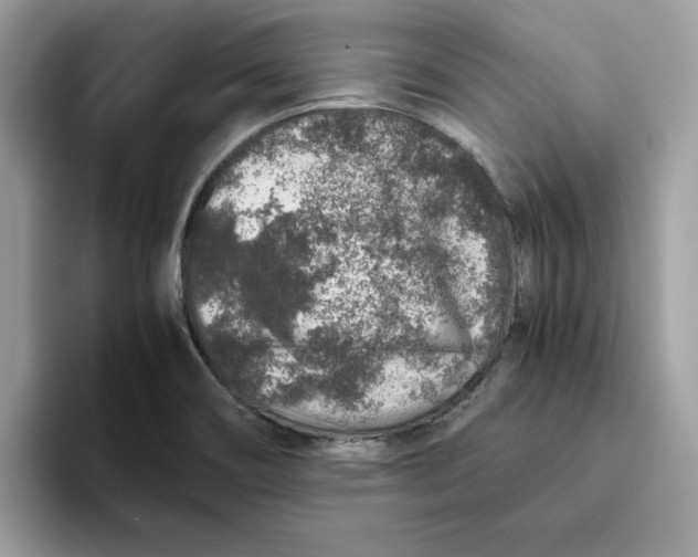 X0000093431466200711091427