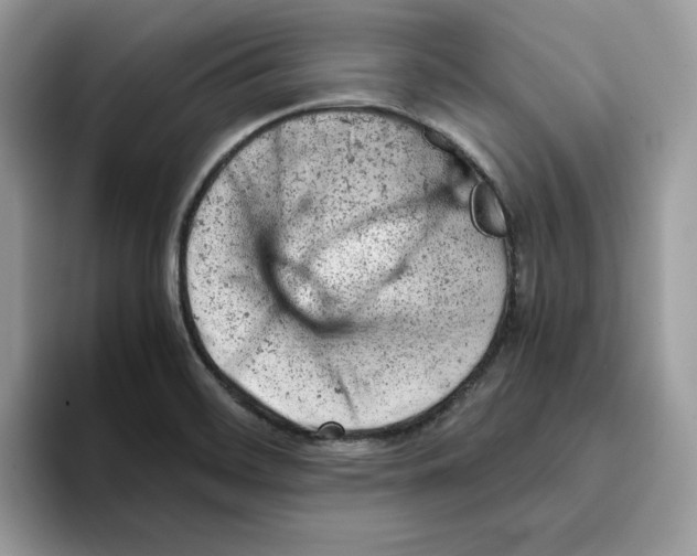 X0000093431468200711091427