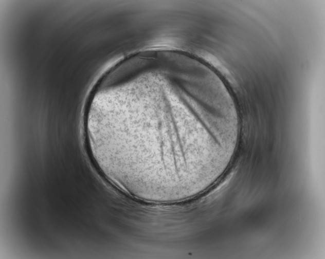 X0000093431469200711091427