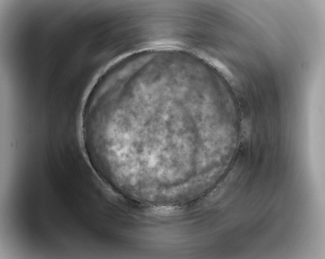 X0000093431470200711091427