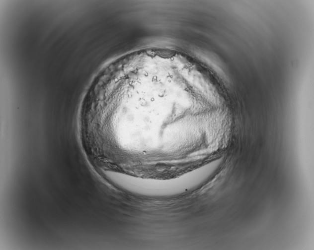 X0000093431471200711091427