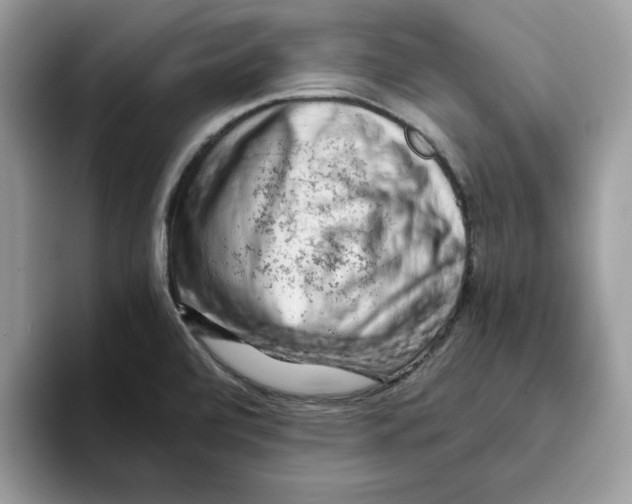 X0000093431472200711091427