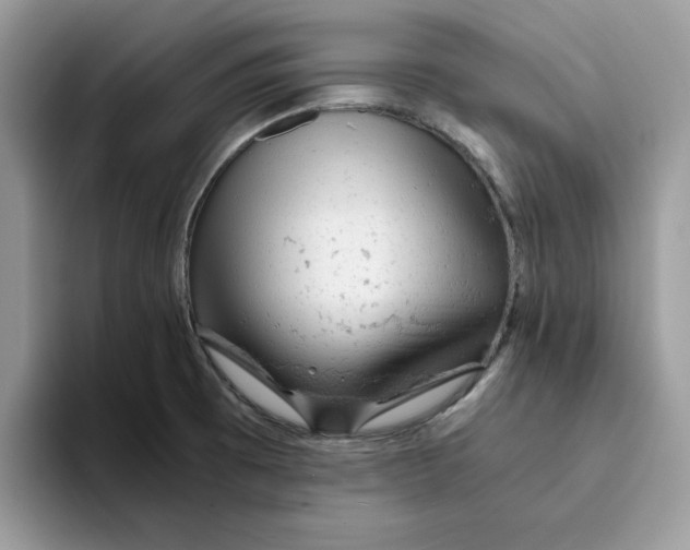 X0000093431473200711091427