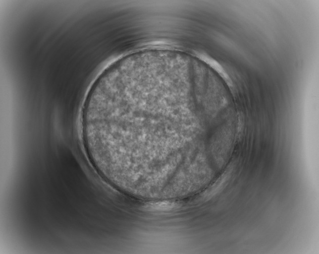 X0000093431474200711091427