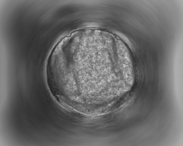 X0000093431475200711091427