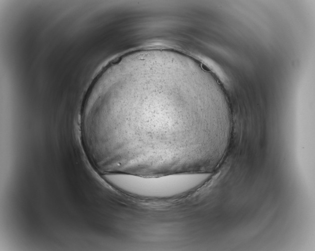 X0000093431476200711091427