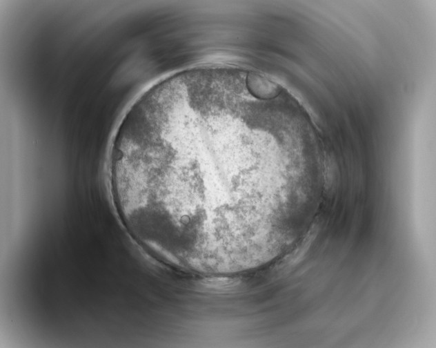 X0000093431478200711091427