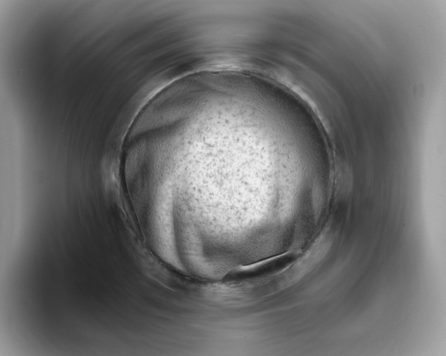 X0000093431481200711091427