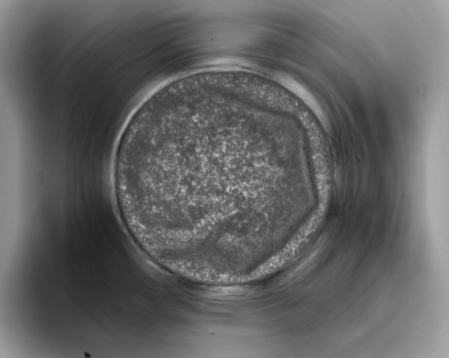 X0000093431482200711091427