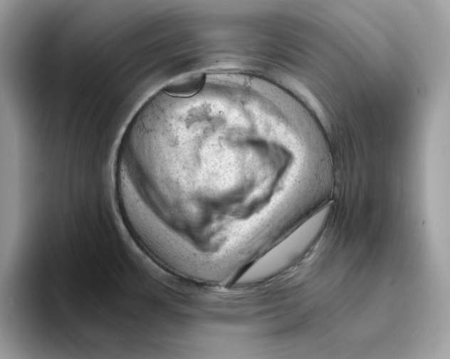 X0000093431483200711091427