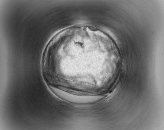 X0000093431487200711091426