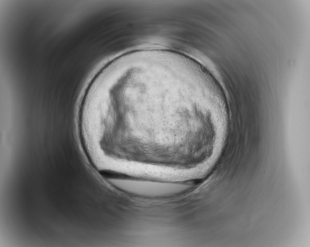 X0000093431488200711091426