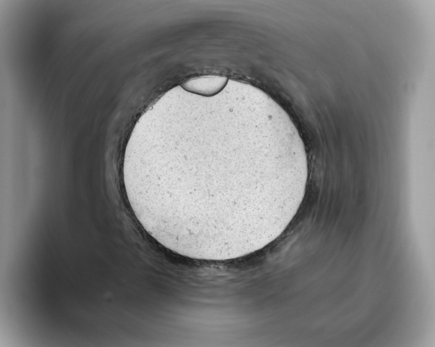 X0000093431489200711091426