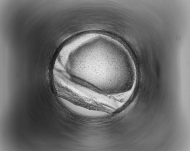 X0000093431497200711091426