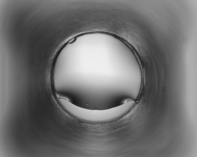 X0000093431500200711091426