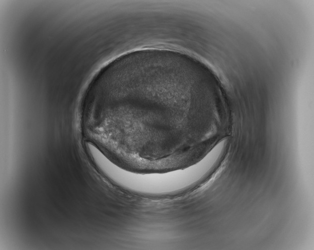 X0000093431506200711091426