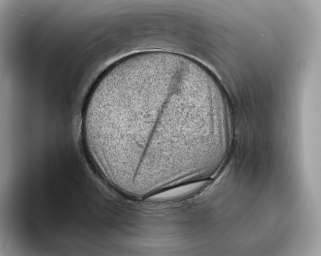 X0000093431507200711091426