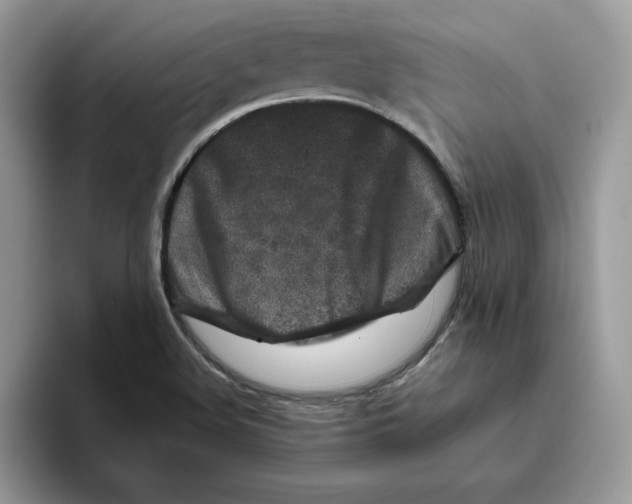 X0000093431508200711091426