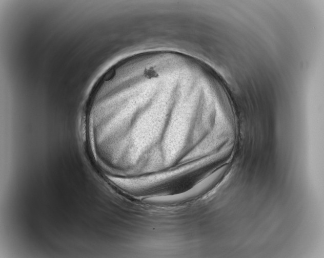 X0000093431510200711091426