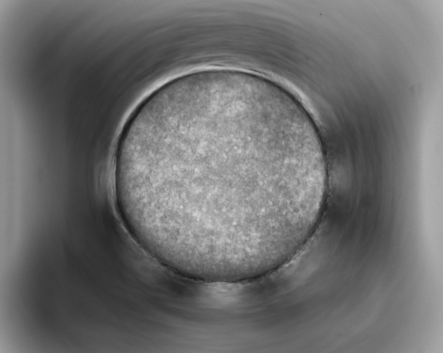 X0000093431514200711091426