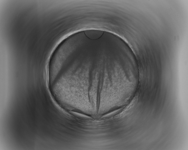 X0000093431515200711091426