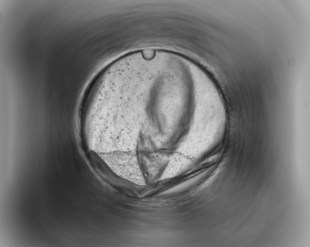 X0000093431517200711091426