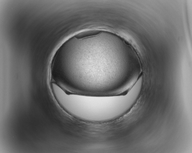 X0000093431520200711091426