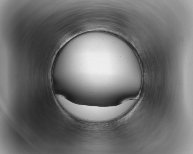 X0000093431521200711091426