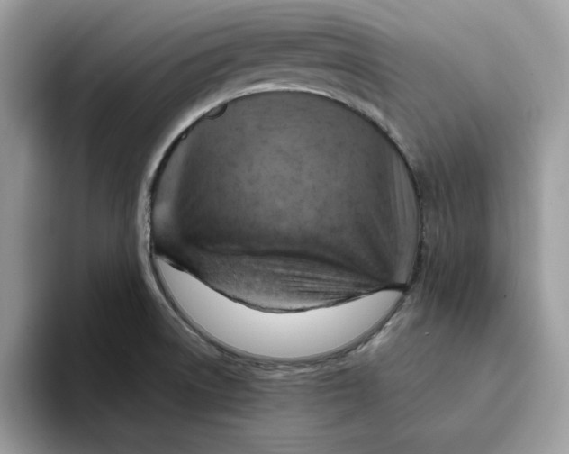 X0000093431522200711091426