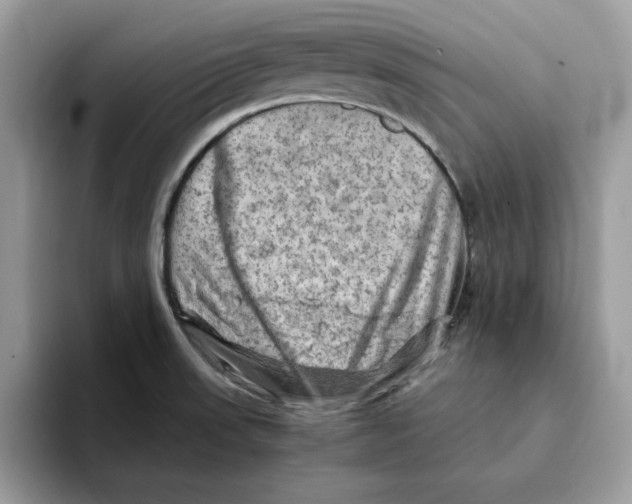 X0000093431523200711091426