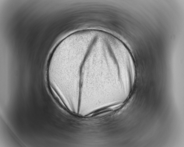 X0000093431525200711091426