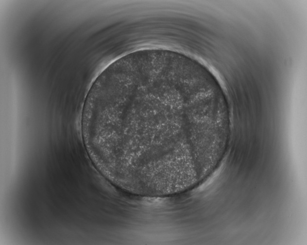 X0000093431529200711091426