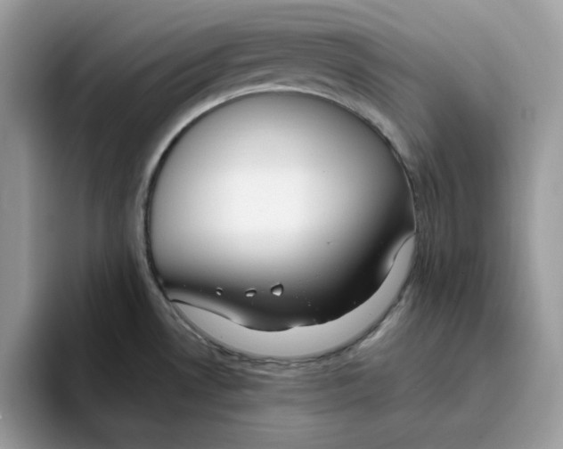 X0000093431530200711091426