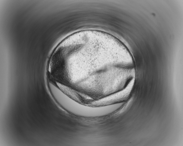 X0000093431533200711091426