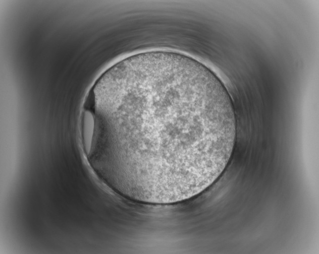 X0000093431534200711091426