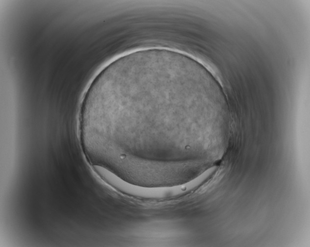 X0000093431535200711091426