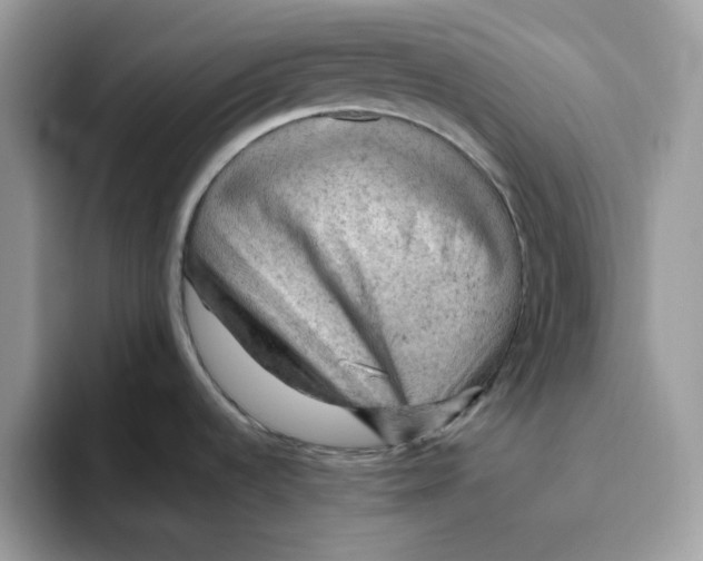 X0000093431536200711091426