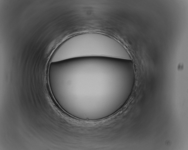 X0000093440002200710120955
